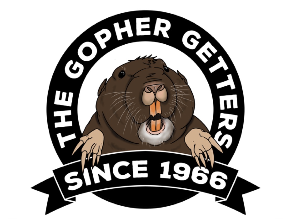 Gopher Expert's user avatar