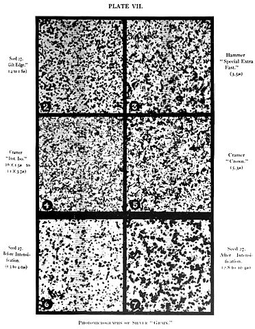 By Robert James Wallace - Plate VII from "The Silver 'Grain' in Photography" by Robert James Wallace, The Astrophysical Journal, Vol. XX, No. 2, Sept. 1904, pp. 113–122, Chicago. As reproduced by Google Book Search. See also [1]., Public Domain, https://commons.wikimedia.org/w/index.php?curid=12220056