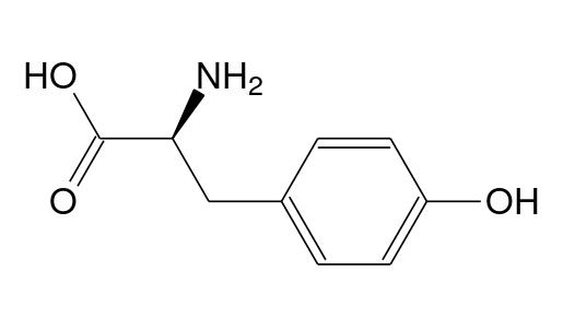 Tyrosine