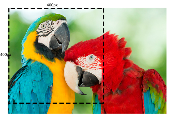 introducir la descripción de la imagen aquí