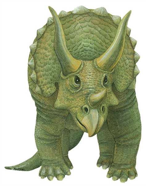 Triceratops's user avatar