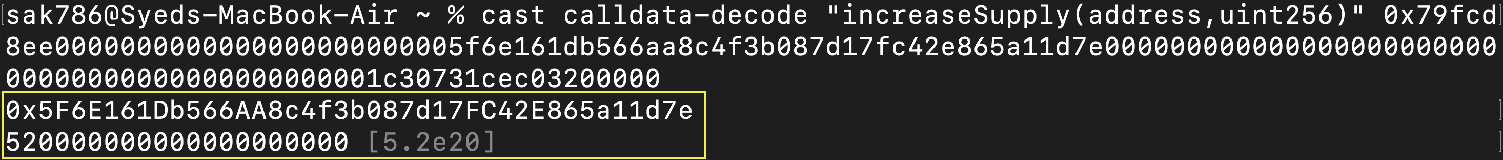 cast calldata-decode output