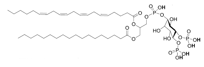 1-O stearoyl-2-O-arachidonyl-phosphatidyl-inositol-4',5'-bisphosphate