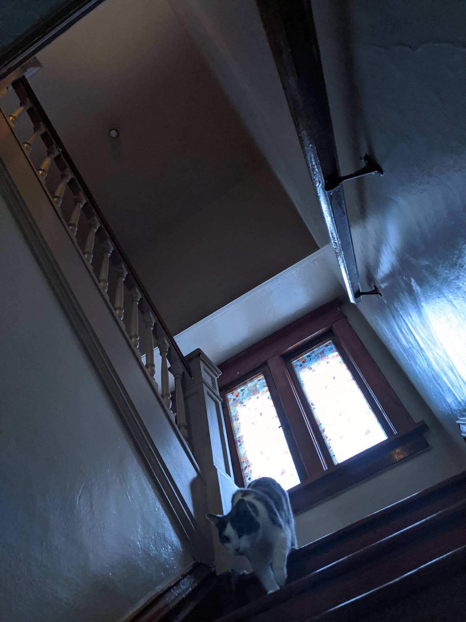 View of fixture from first floor (cat for scale)