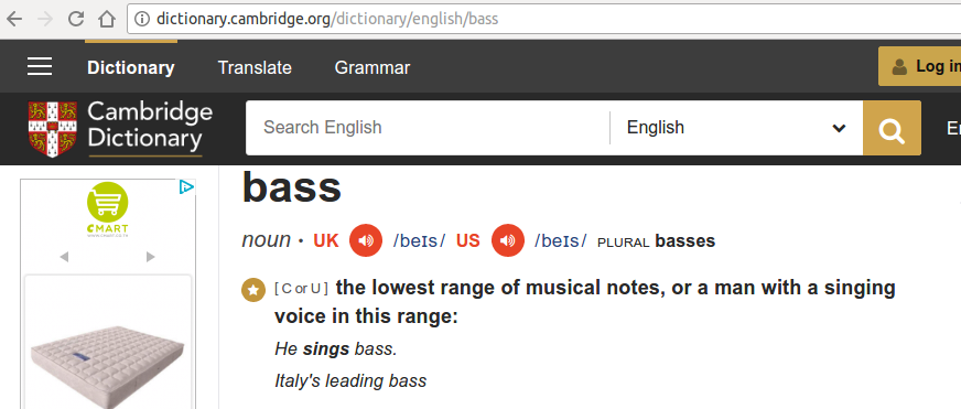 bass