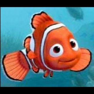 nemo's user avatar