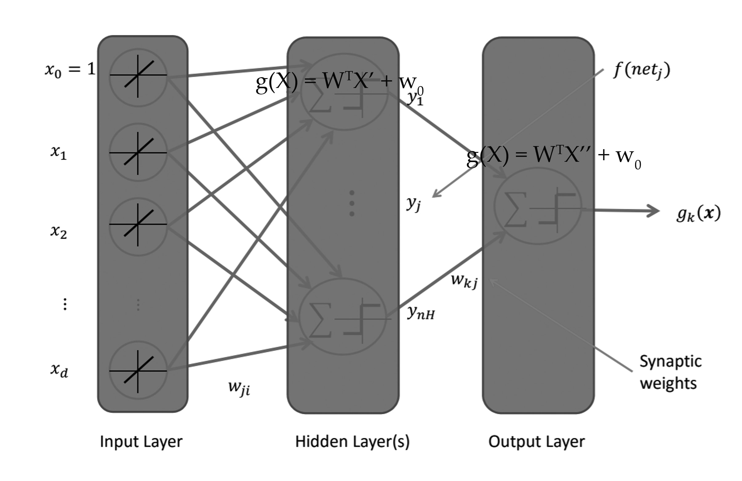 neural net