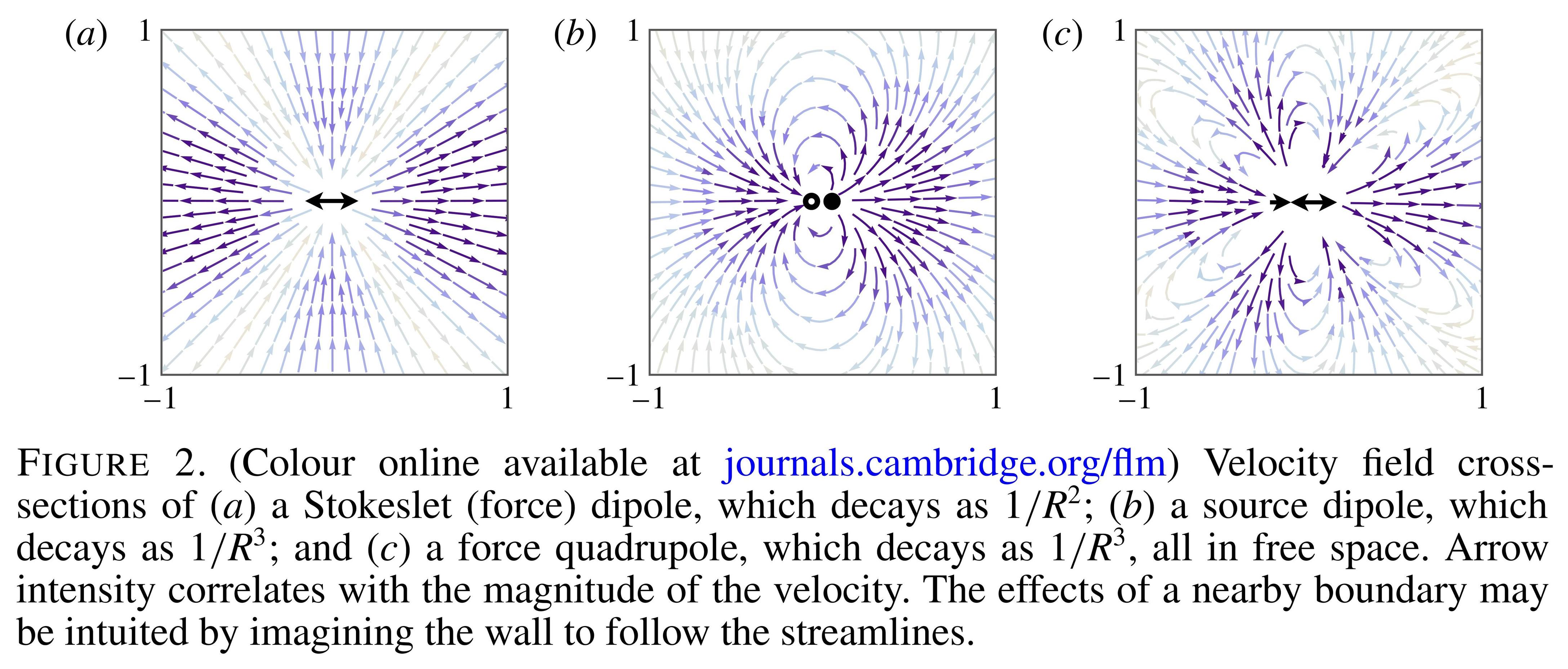 Fields around a "force dipole", a "source dipole" and "force quadrupole"