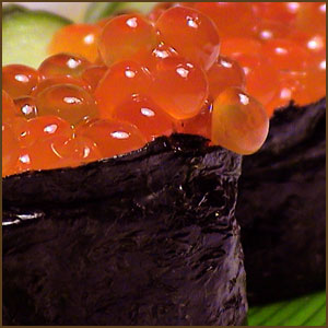 Salmon Roe