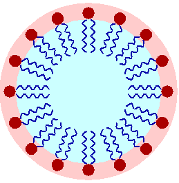 Detergent micelle in water