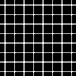 grid illusion