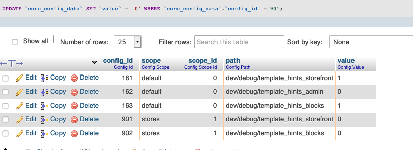 core_config_data template_hints