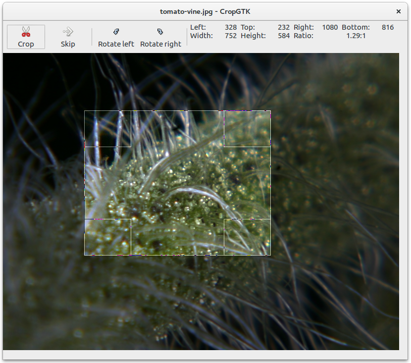 Screenshot of CropGTK