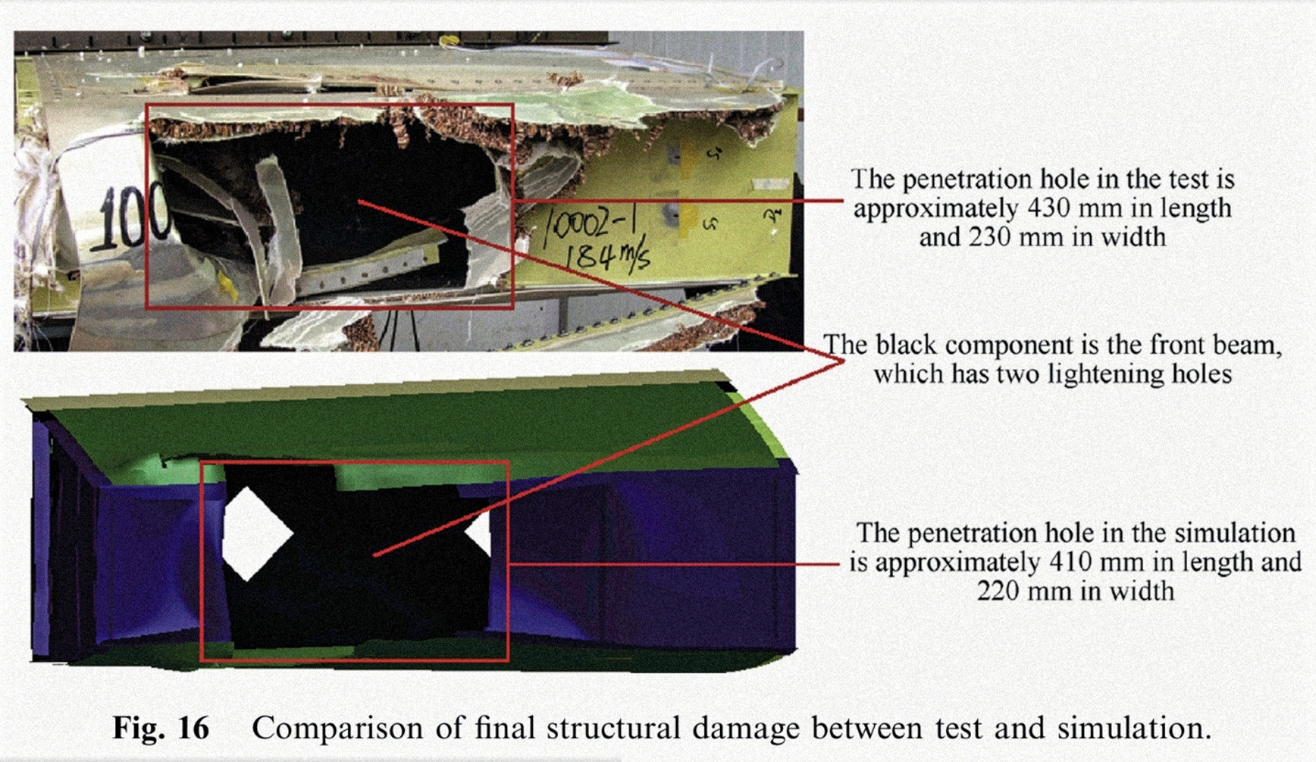 bird strike, simulation Vs. test