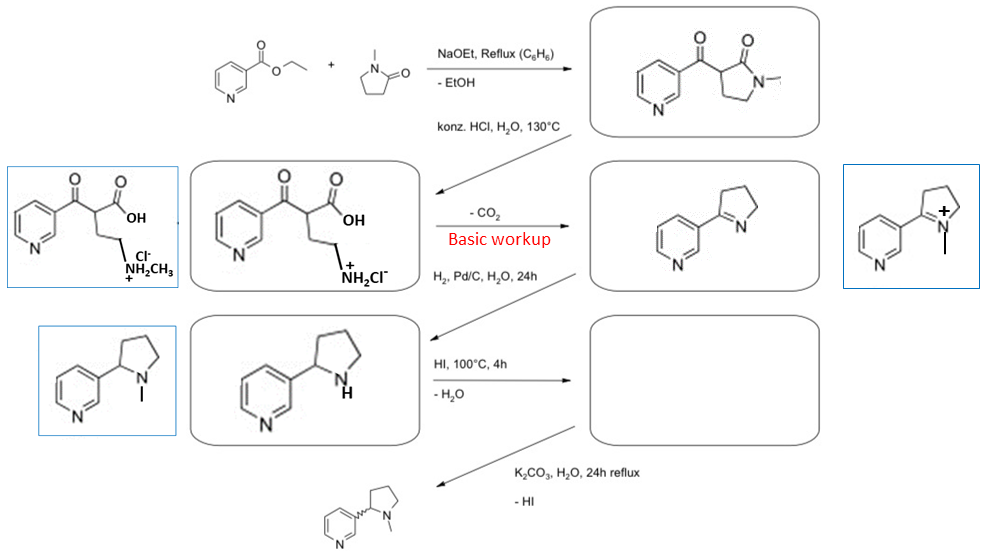 Synthesis of racemic nicotine