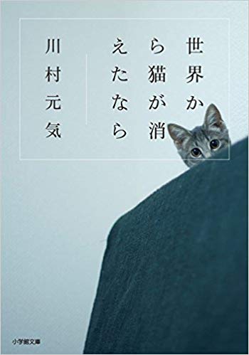 Book cover, gray cat partially hidden by a wall