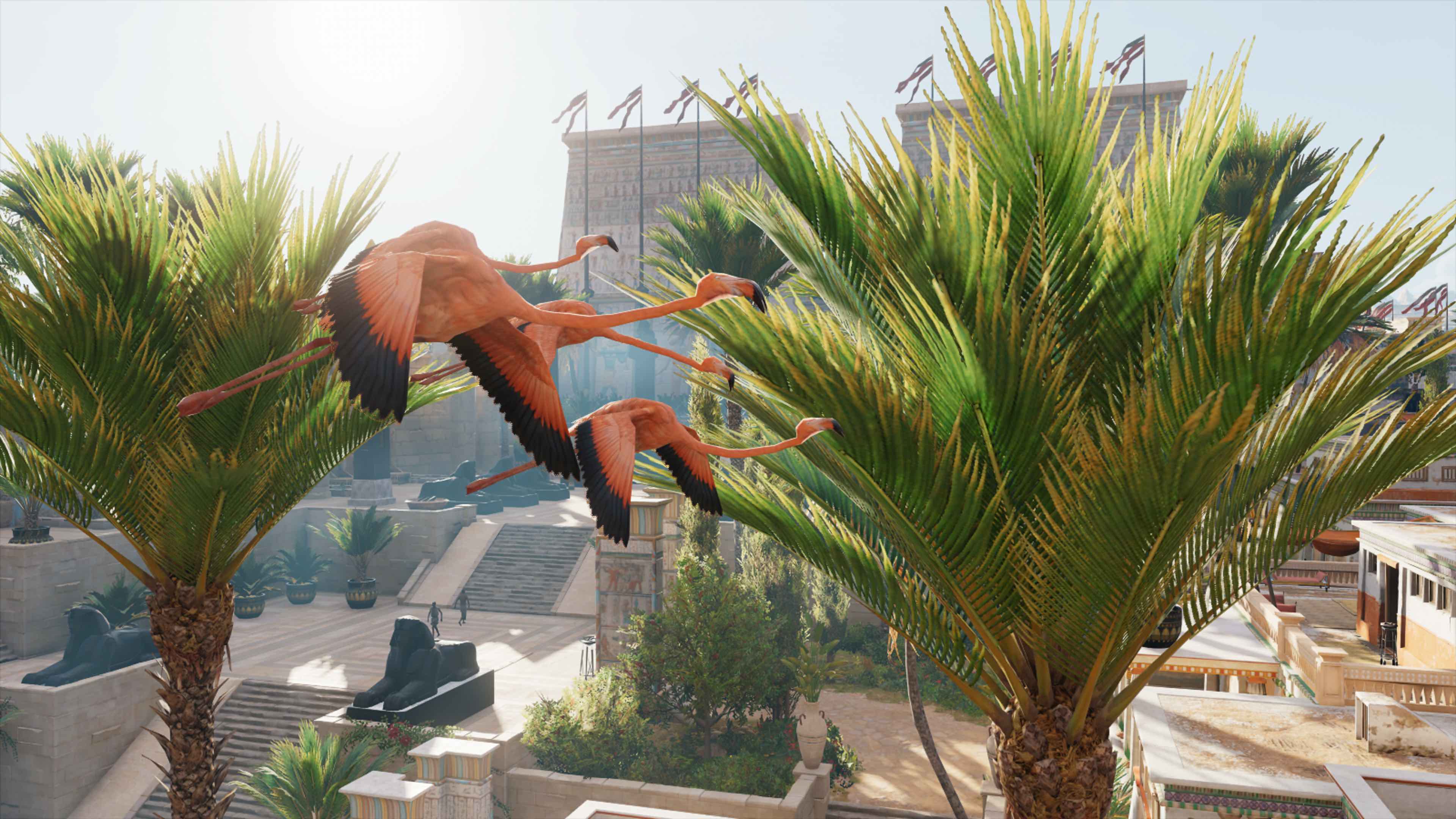 Flight of flamingos over Memphis (Egypt) - winning screenshot contest 35