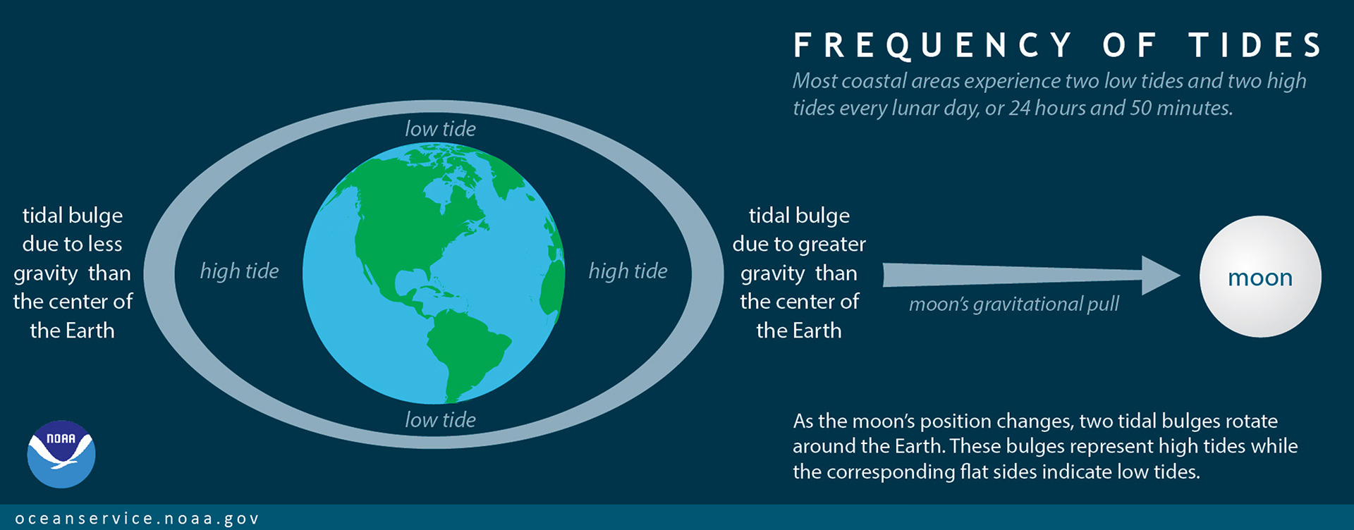 One of very many images that depict two tidal bulges, one on the side of the Earth nearest to the Moon and the other on the side furthest from the Moon.