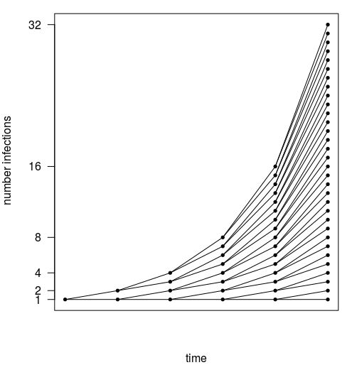 growth graph