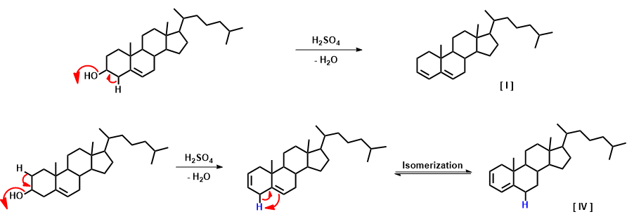 Mechanism of formation of cholestadiene isomers