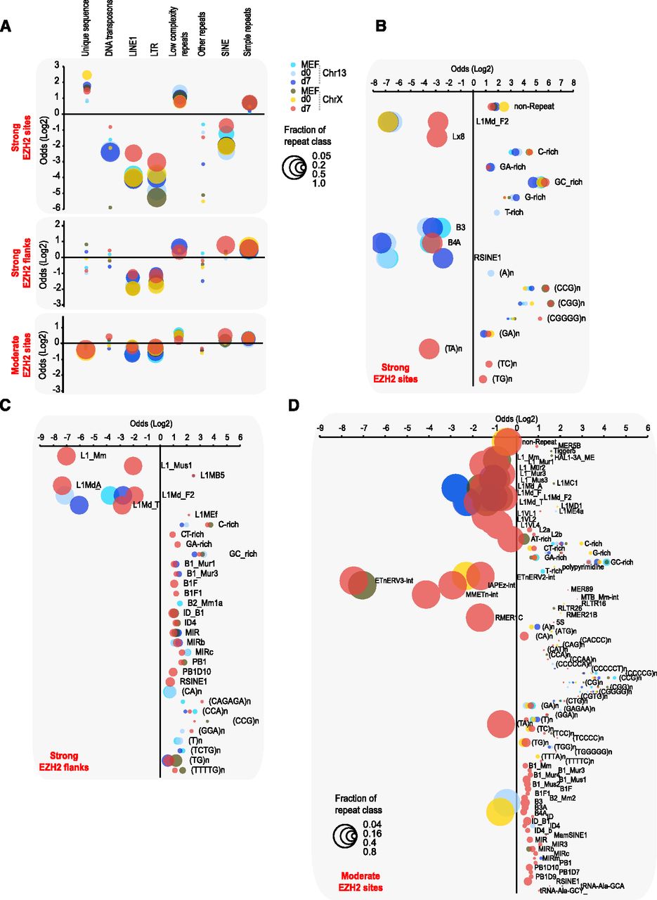 Relationship of repetitive elements to specific genomic sites (22948768)