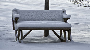 Winter Cushions