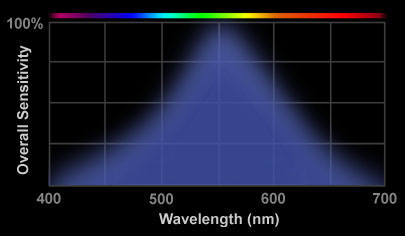 Cone response of the human eye