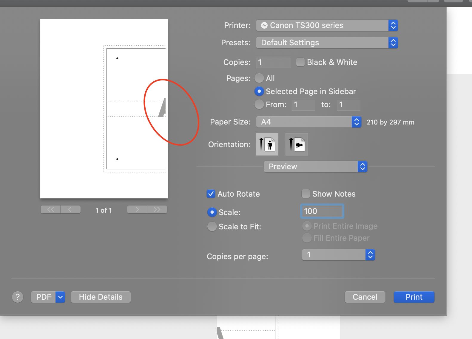 PDF pattern leading to edges being trimmed if I scale to 100%