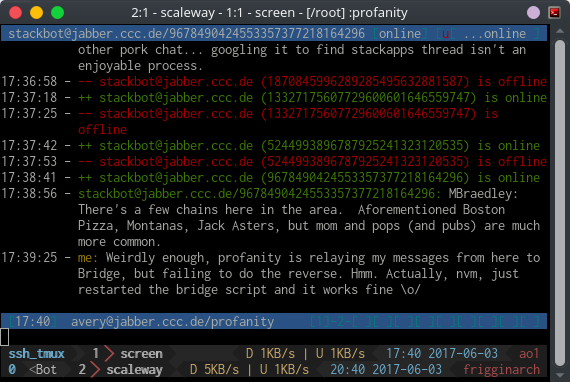 Chatting on The Bridge using the bridge with Profanity, running on GNU Screen in my Ubuntu Server, connected via SSH on my Arch Linux Laptop on second tmux tab