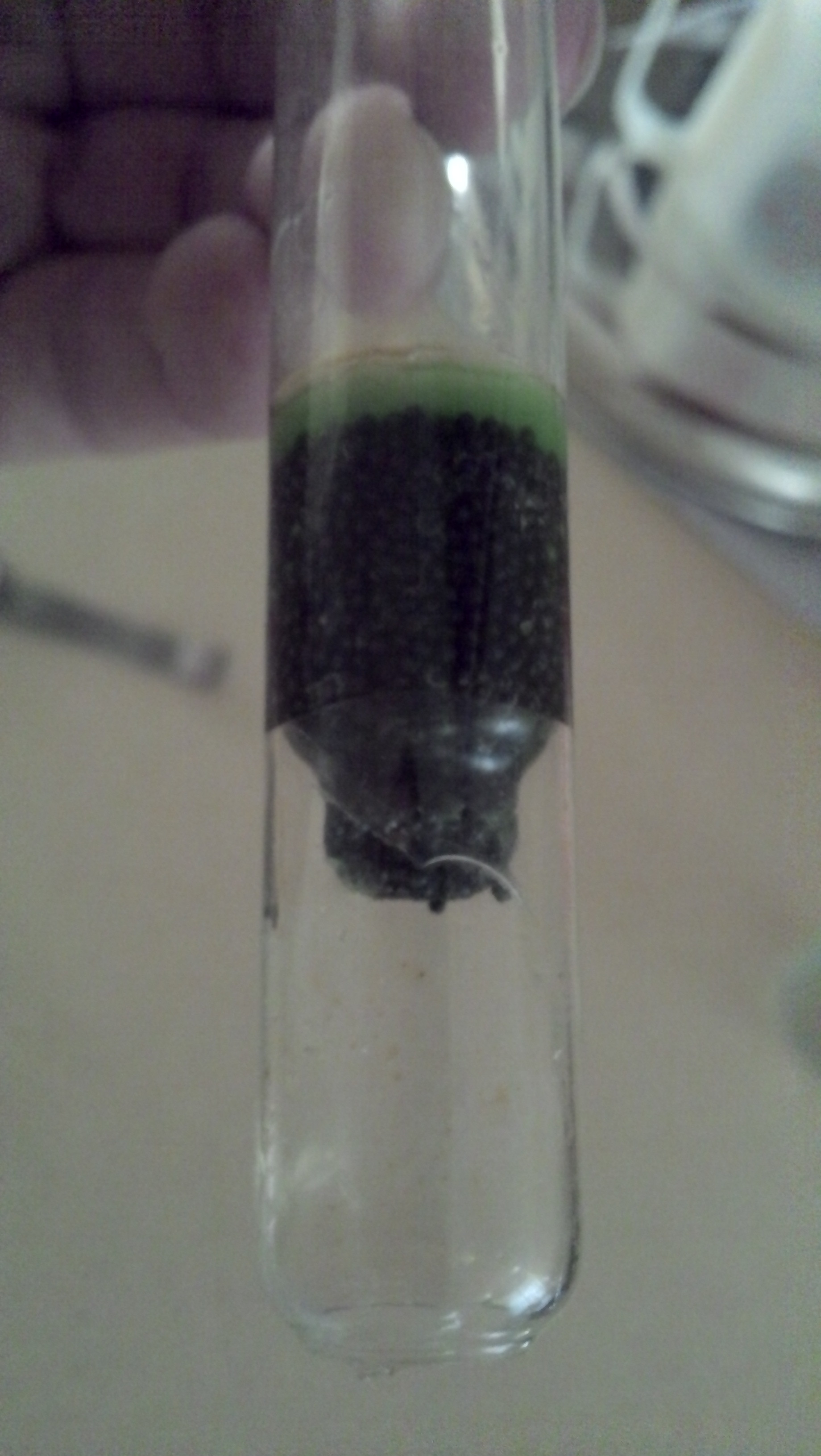 Broken Hydrometer