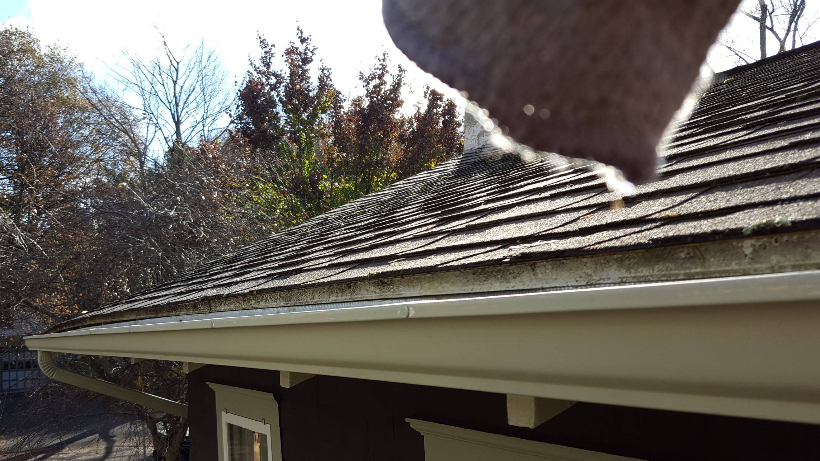 north side of roof looking northeast, to show more of roof line which should be (and is mostly) flat