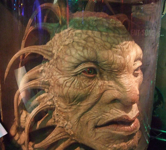 Jack is the Face of Boe