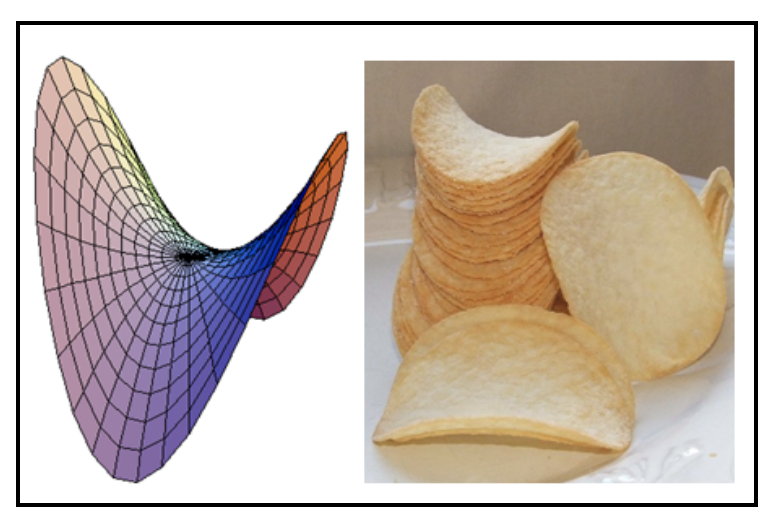 Pringle's Chip