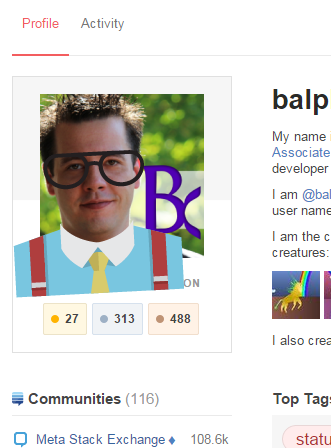 screenshot of my profile, wearing a hat