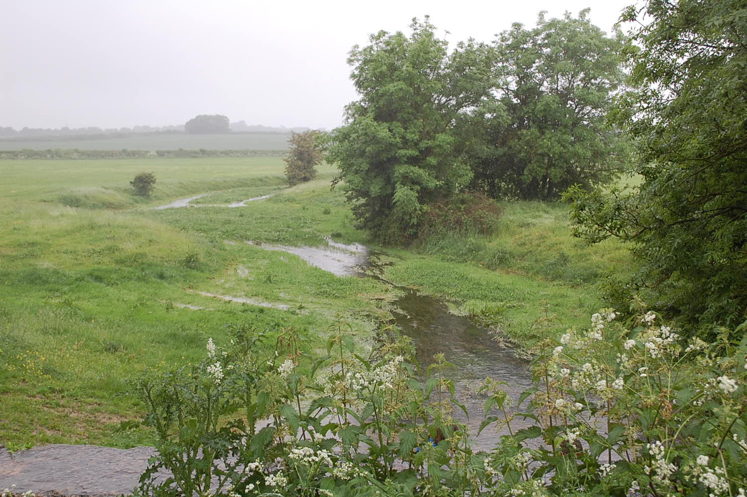 source of the Thames