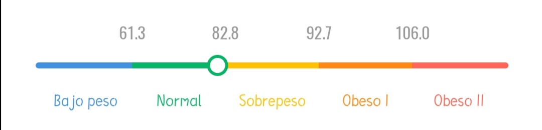 Ejemplo de la aplicación MiFit