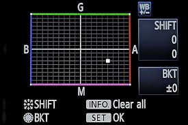 White Balance Shift