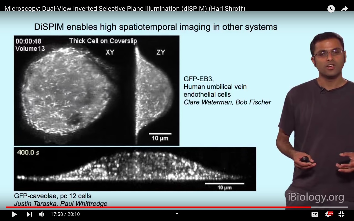 dual view light sheet microscopy