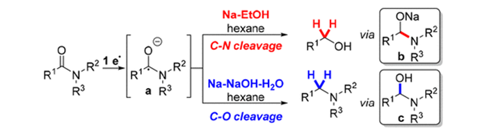 Synthesis of amines from amides