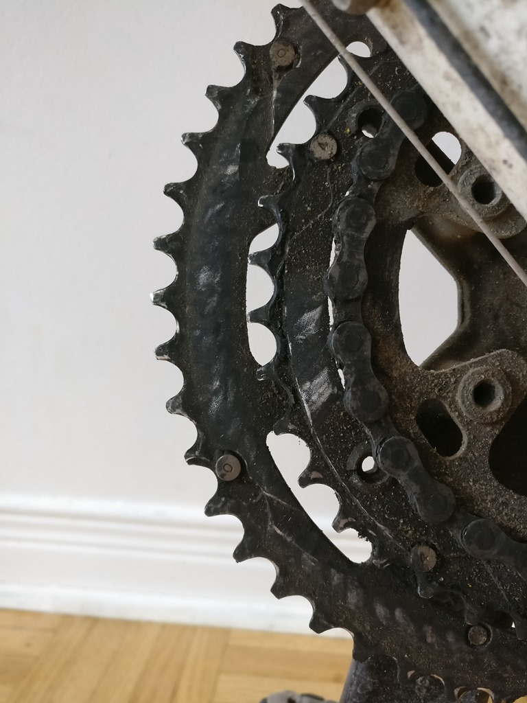 Large Chainring Pic 2