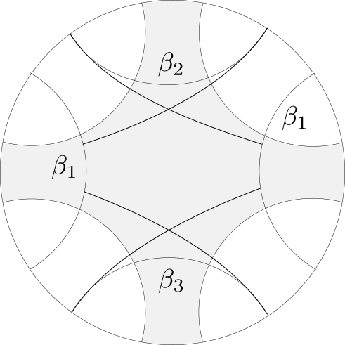 five-geodesics-in-poincare-disk