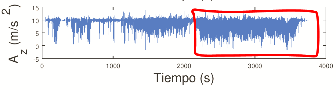 Figure 2.zoom