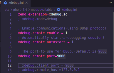 xdebug.ini