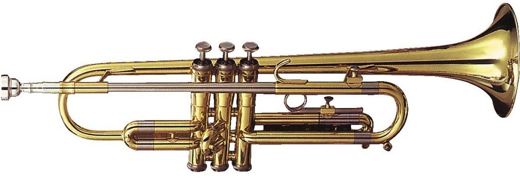 Looks like it is a Bb trumpet