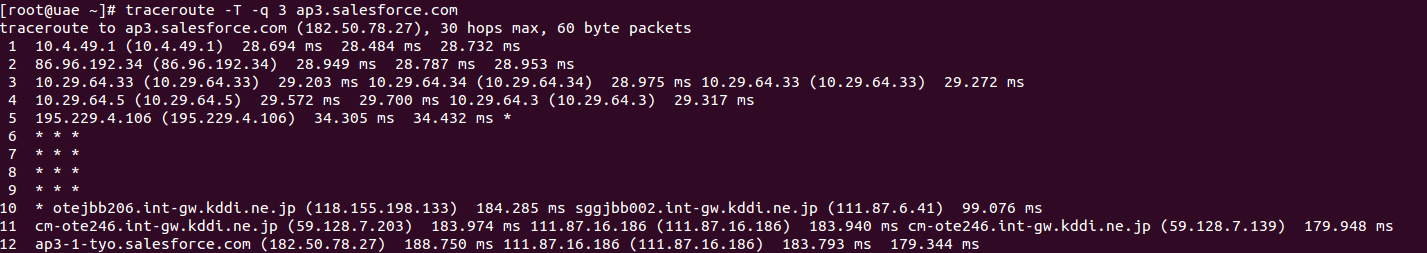 Traceroute with number of probes equal to 3