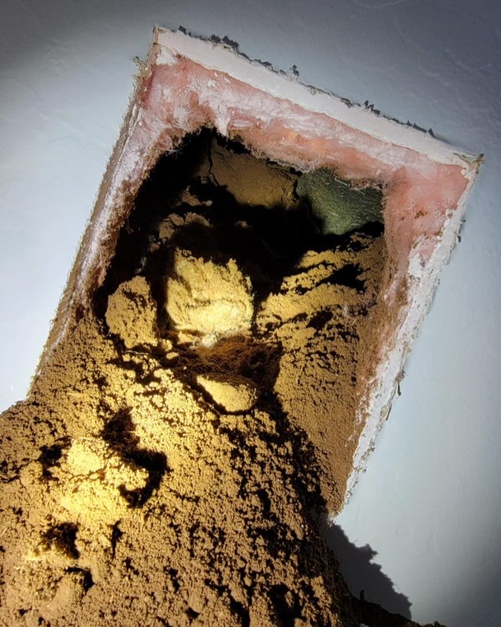 Gophers inside bathtub cavity