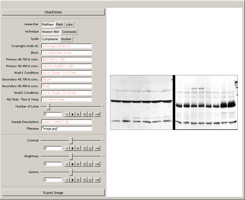 Adding custom information and exporting image