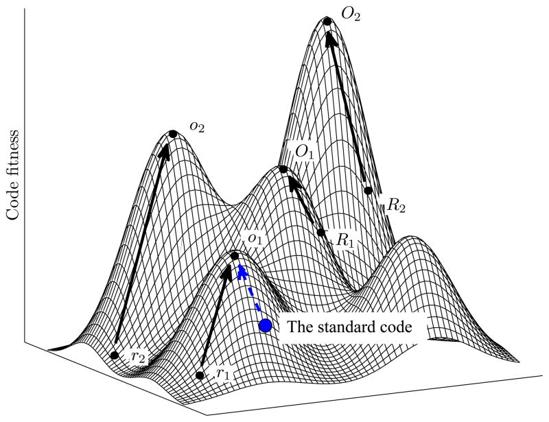 Figure 3 from Koonin and Novozhilov 2012, showing possible genetic code adaptive landscape.