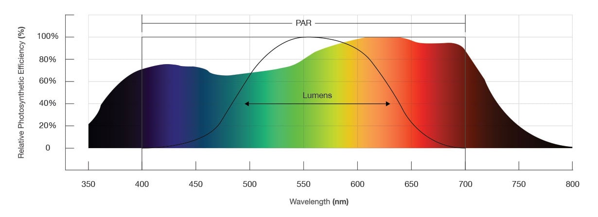 spectrum