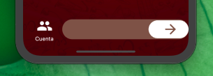 Imagen de como queda al deslizar hacia derecha mi SwipeButton